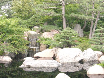 Un constănţean vrea să amenajeze un colţ de natură de tip japonez în Parcul Tăbăcărie